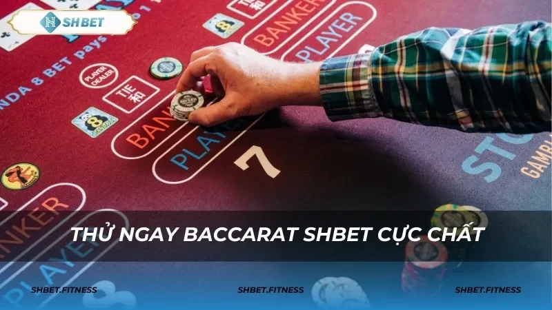 Hệ thống bảo mật tối ưu, đảm bảo an toàn tại SHBET casino