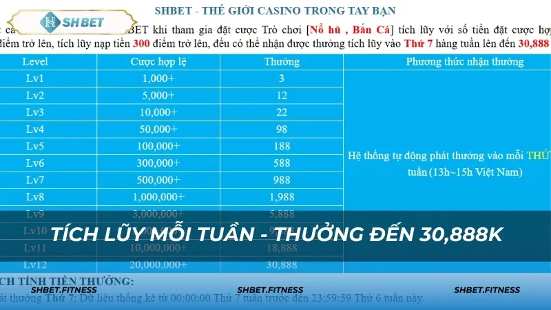 Tích lũy cược và nhận thưởng hàng tuần