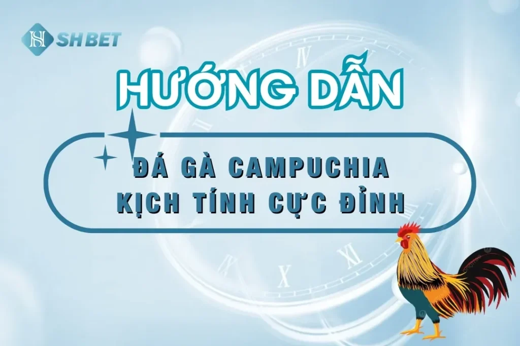 coi-da-ga-campuchia-shbet88-online-thumnail