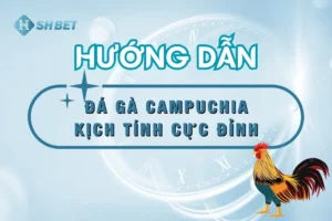coi-da-ga-campuchia-shbet88-online-thumnail