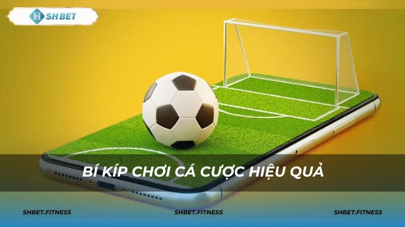 Cá cược bóng đá tại nhà cái SHBET