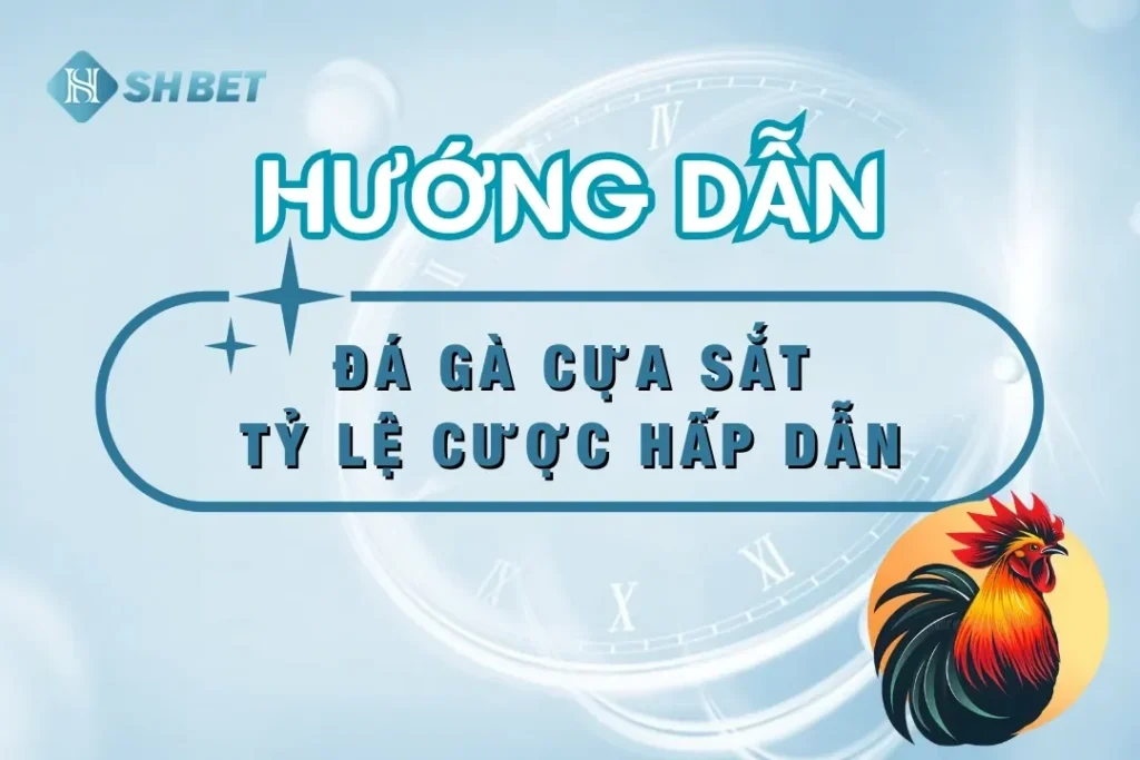 da-ga-cua-sat-khuyen-mai-shbet-thumnail