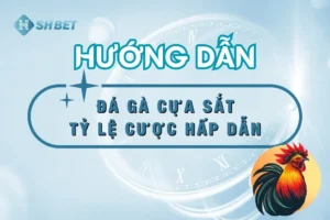 da-ga-cua-sat-khuyen-mai-shbet-thumnail