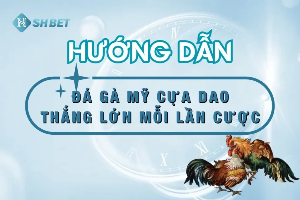 da-ga-my-cua-dao-truc-tiep-thumnail