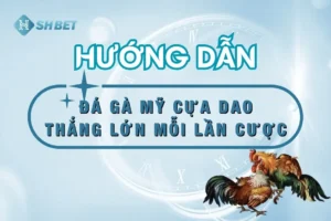 da-ga-my-cua-dao-truc-tiep-thumnail