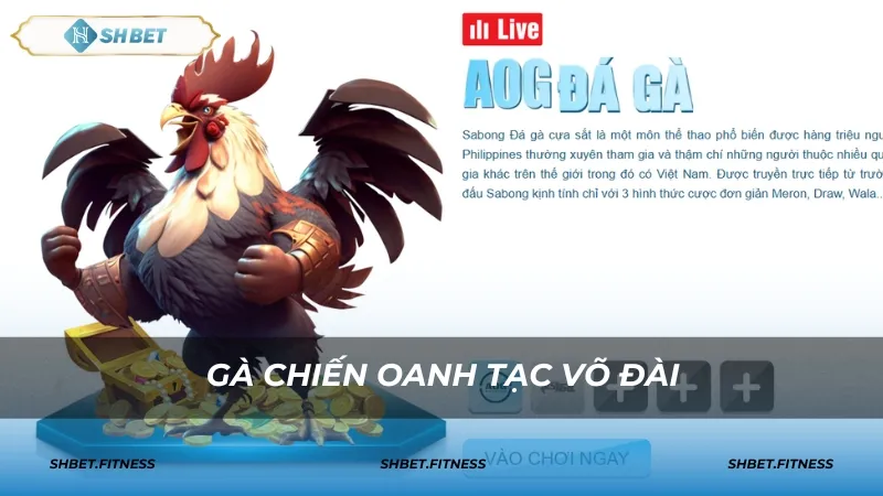 WS168 - Đa dạng kèo cược và tỷ lệ thắng cao