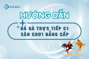 da-ga-truc-tiep-c1-shbet-88-thumnail