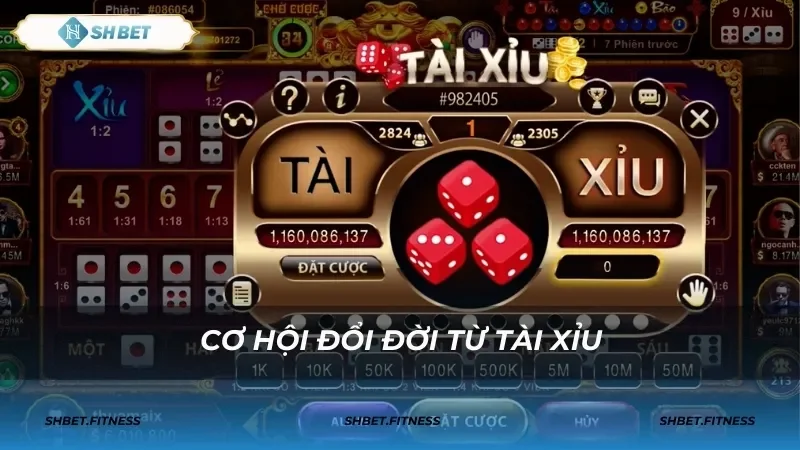 Thuật ngữ cơ bản trong tài xỉu online