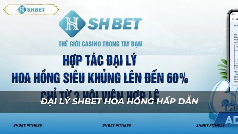 Hoa hồng và các chế độ đãi ngộ dành cho đại lý