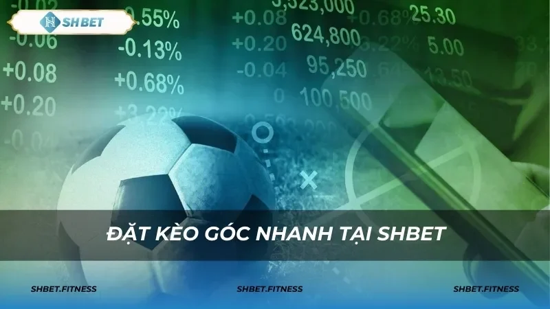 Hướng dẫn cách tính kèo phạt góc SHBET kèm ví dụ thực tế