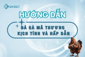 nha-cai-da-ga-ma-thuong-shbet-thumnail