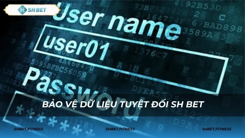 Quyền lợi người dùng trong chính sách bảo mật SHBET