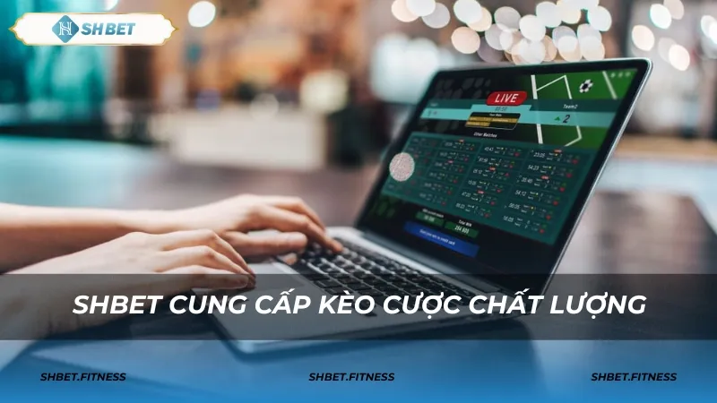 Bí quyết cá cược thể thao SHBET hiệu quả