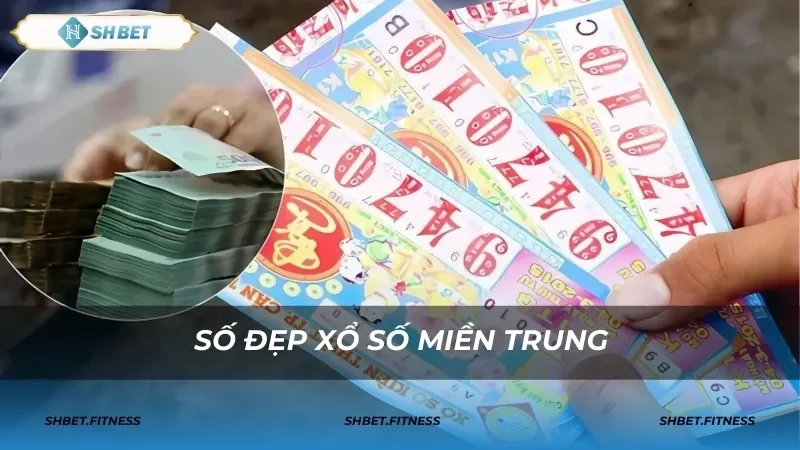 Cách áp dụng các thuật ngữ trong việc phân tích kết quả