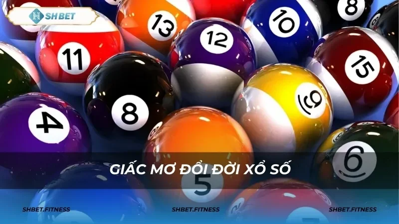 Cung cấp các công cụ dự đoán xổ số chính xác