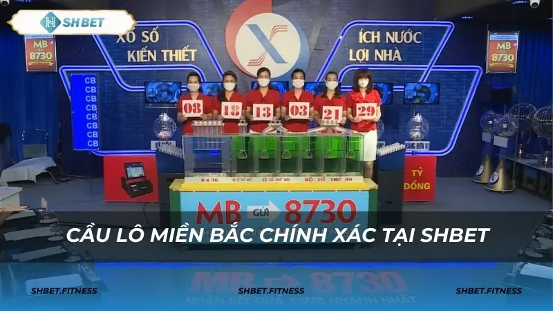 Cầu bạch thủ và lô gan