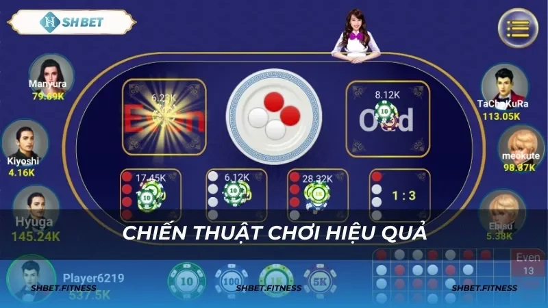 Các thuật ngữ quan trọng và tính năng nổi bật