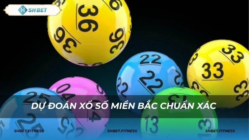 Nền tảng trực tuyến hiện đại hỗ trợ người chơi